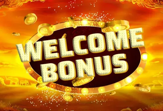 Wildz new player bonus